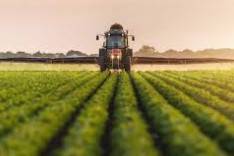 Terreno agricolo in vendita a san biagio di callalta 