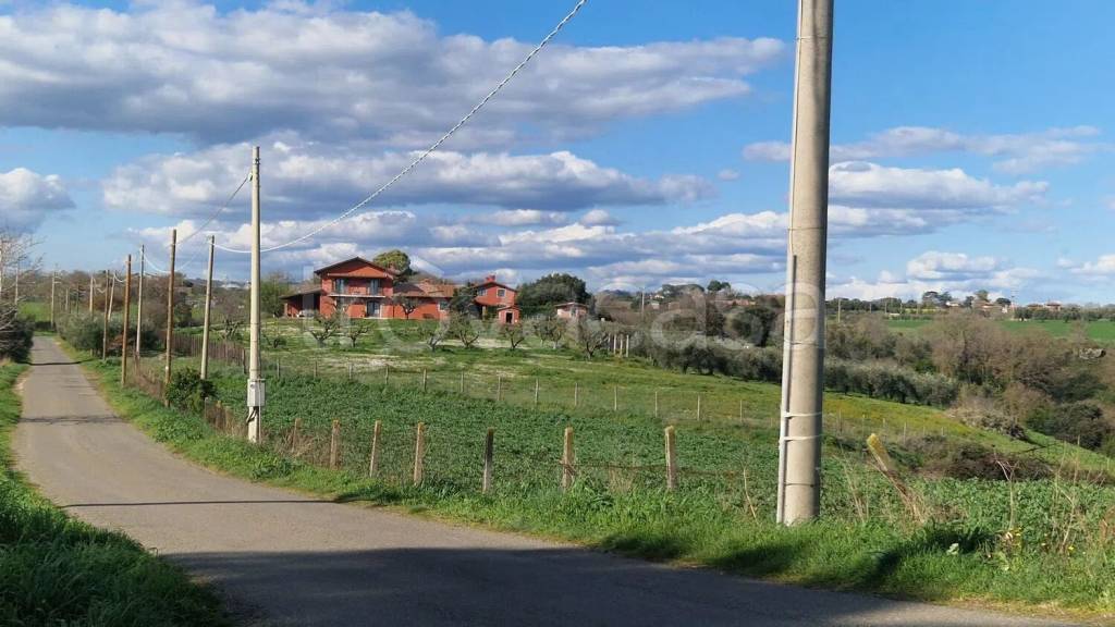 immagine annuncio 4 di 11