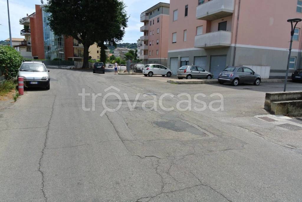 immagine annuncio 2 di 12