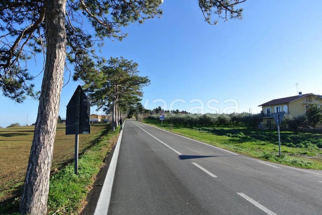 immagine annuncio 1 di 11