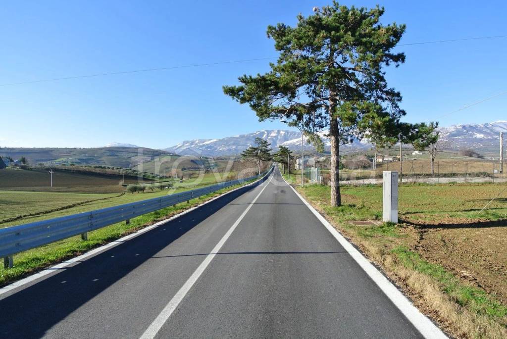 immagine annuncio 2 di 11
