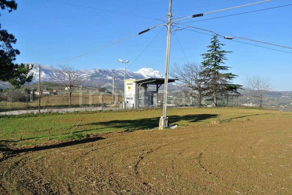 immagine annuncio 6 di 11