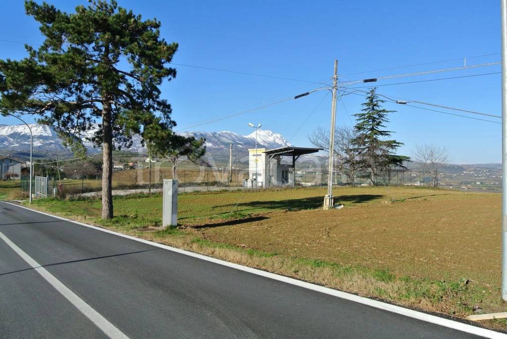 immagine annuncio 7 di 11