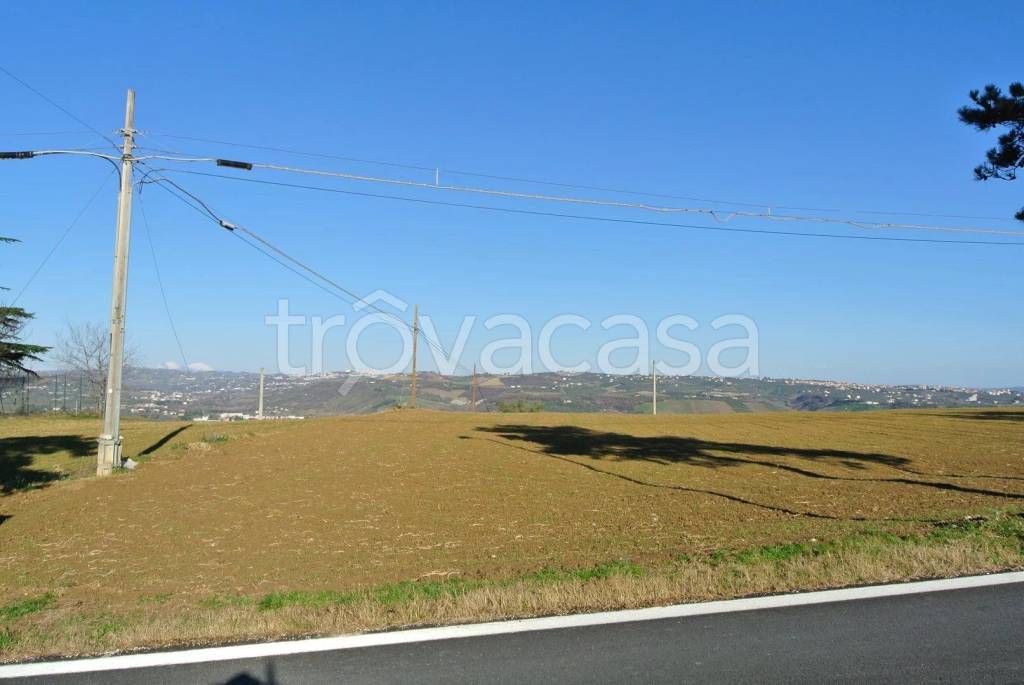 immagine annuncio 8 di 11