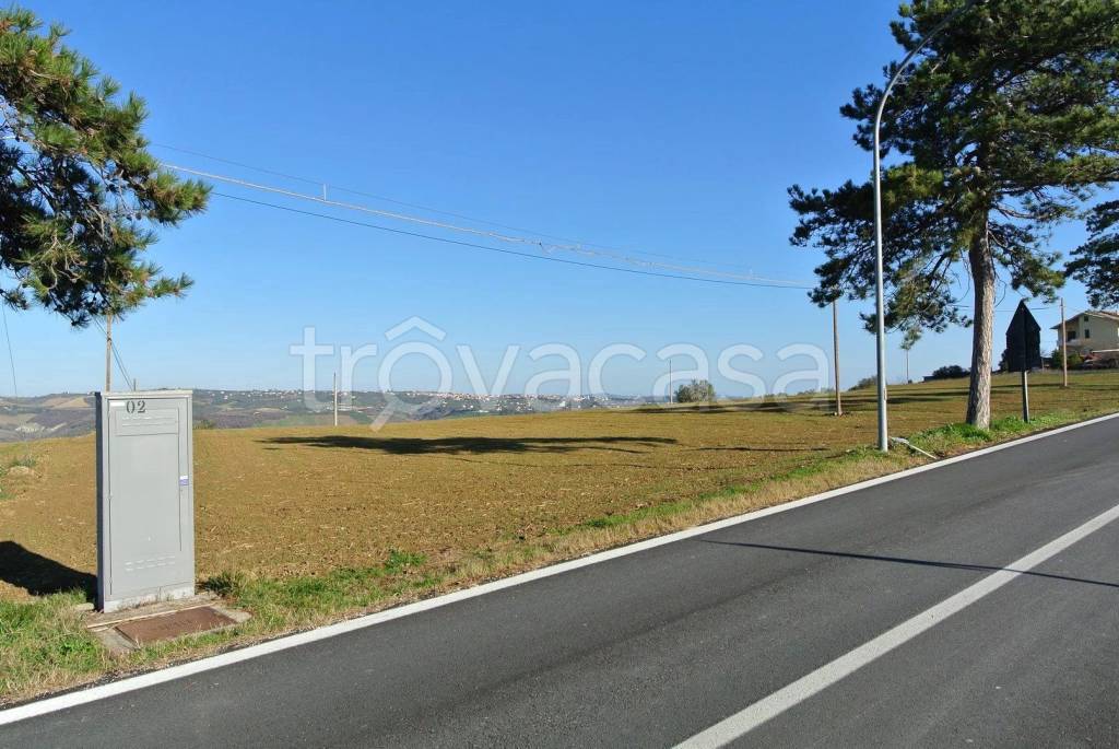 immagine annuncio 10 di 11