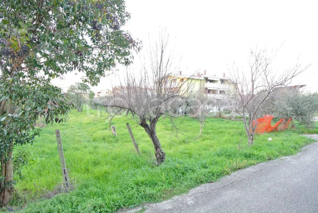 immagine annuncio 3 di 11