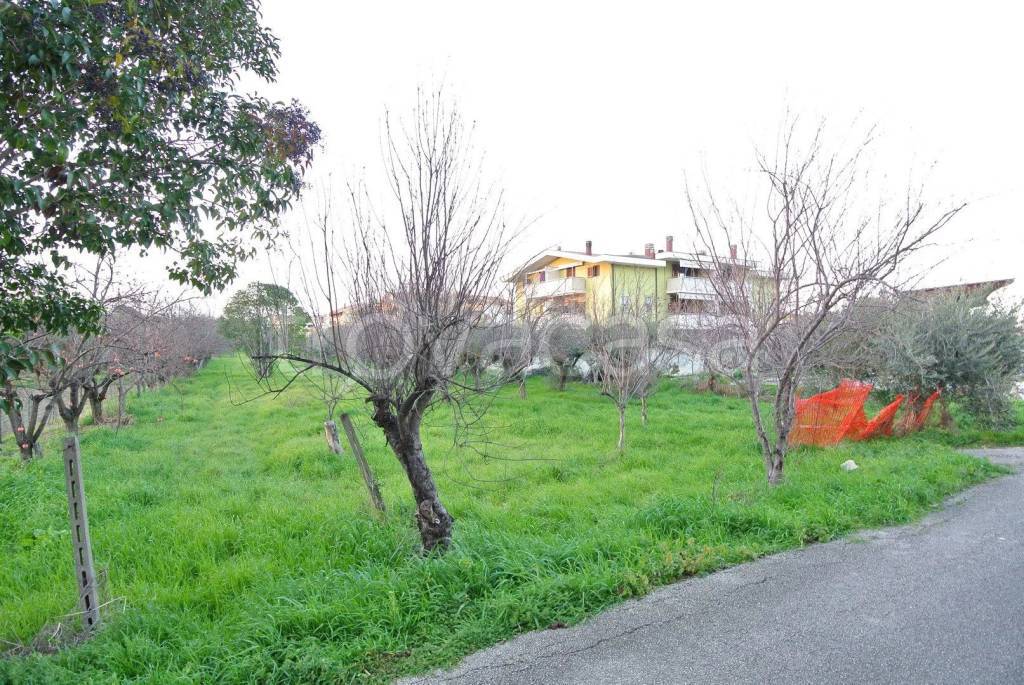 immagine annuncio 4 di 11