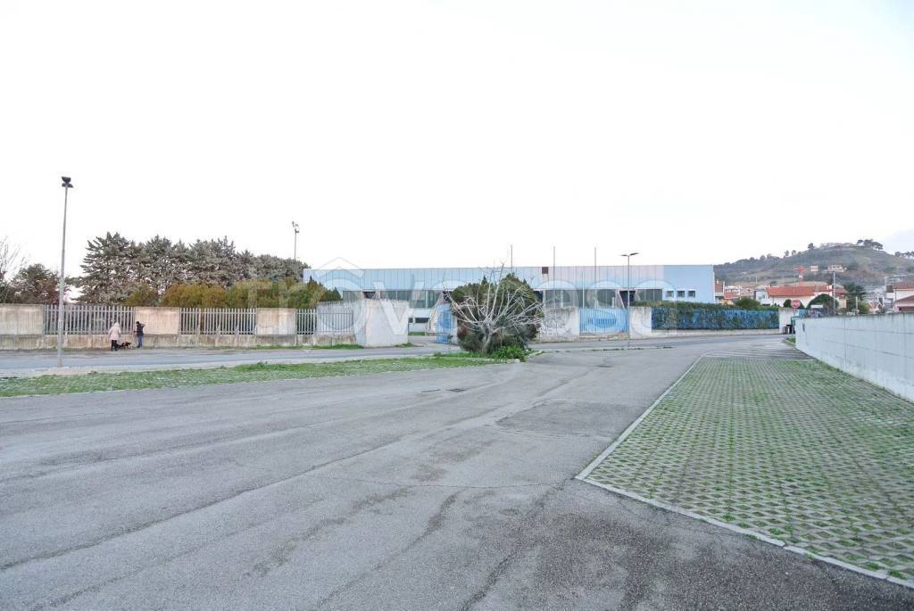 immagine annuncio 8 di 11