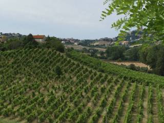 Terreno agricolo in vendita a sant'elpidio a mare santa caterina