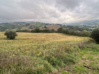 Terreno agricolo in vendita a tolentino contrada le grazie