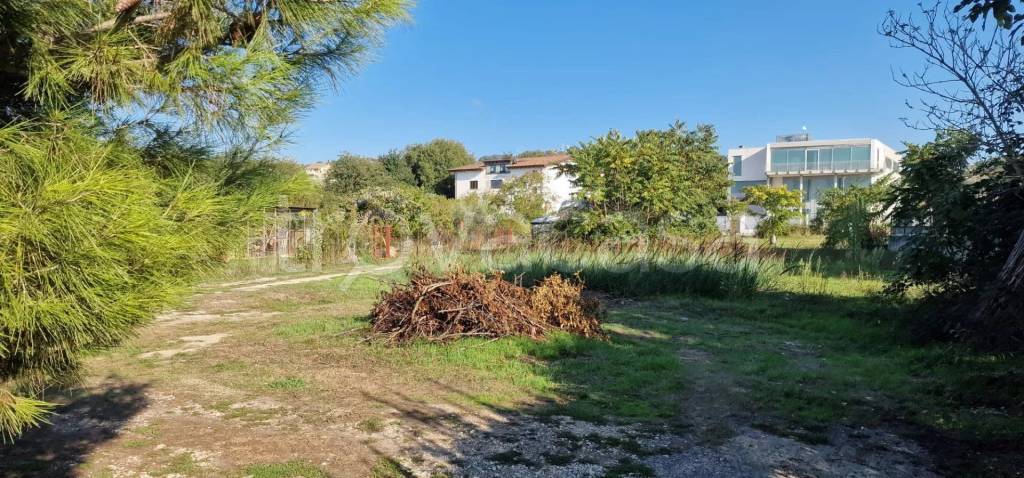 immagine annuncio 4 di 7