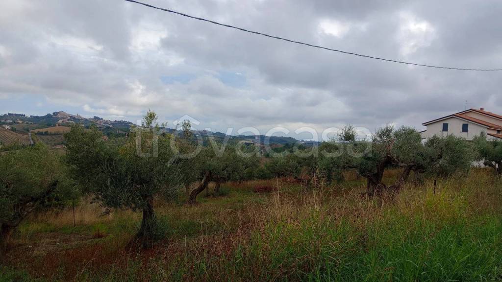 immagine annuncio 2 di 14