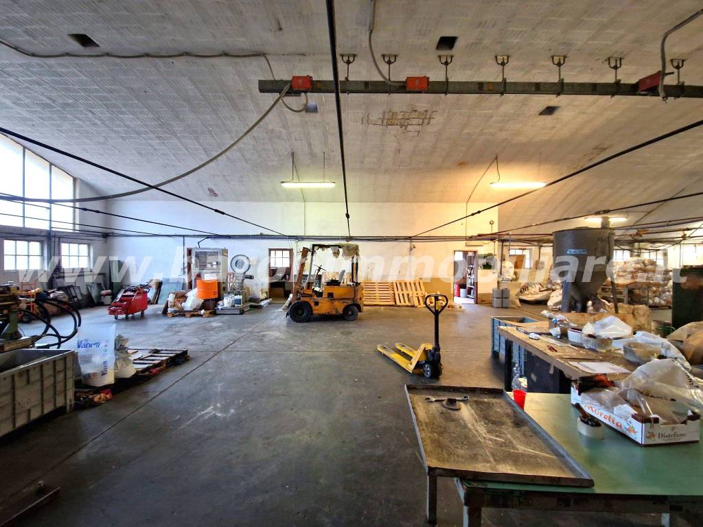 immagine annuncio 8 di 14