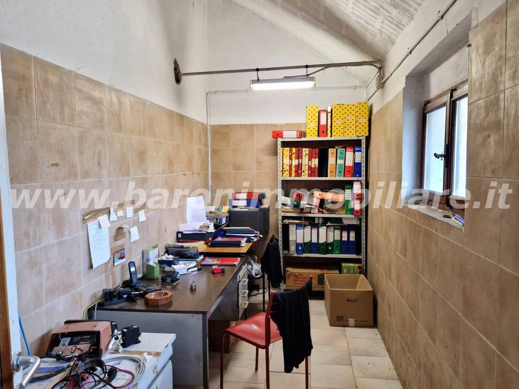 immagine annuncio 12 di 14