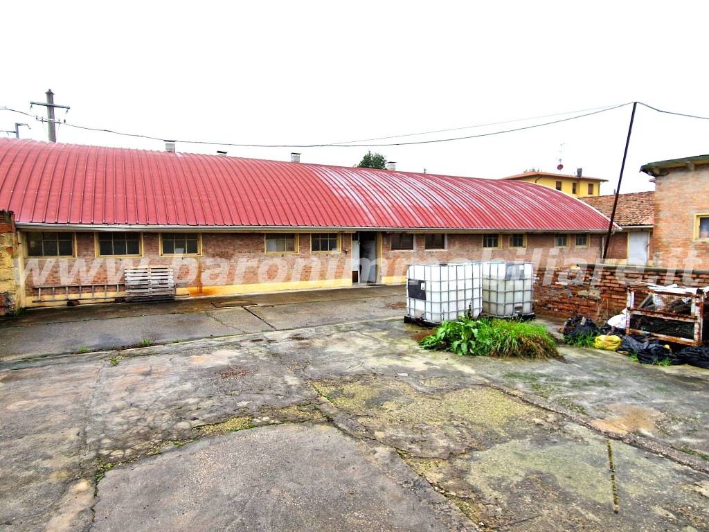 immagine annuncio 1 di 14