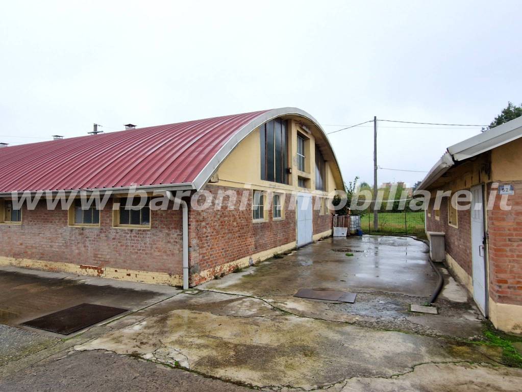 immagine annuncio 3 di 14