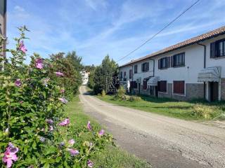 Azienda agricola in vendita a borgo priolo località biancanigi snc