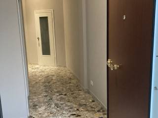 Appartamento in in affitto da privato a bologna via pasubio