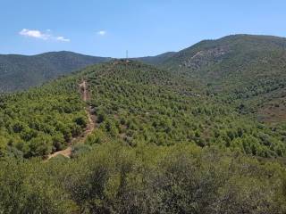 Terreno agricolo in vendita a quartu sant'elena strada bacca mandra