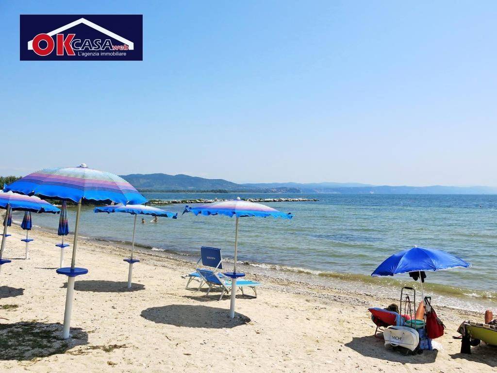 immagine annuncio 12 di 14