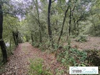 Terreno agricolo in vendita ad amelia rimembranze