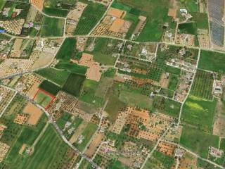 Terreno agricolo in vendita a matino strada vicinale mimmo