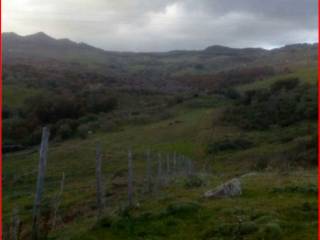 Terreno agricolo in vendita a leonforte strada statale centrale sicula