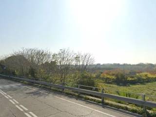 Terreno agricolo in vendita a trani strada adriatica, km 35