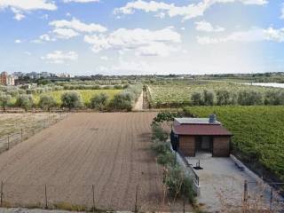 Terreno agricolo in vendita a trani via salvemini s.n.c.