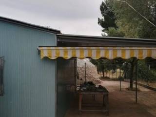 Terreno agricolo in vendita a trani strada sant'erasmo s.n.c.