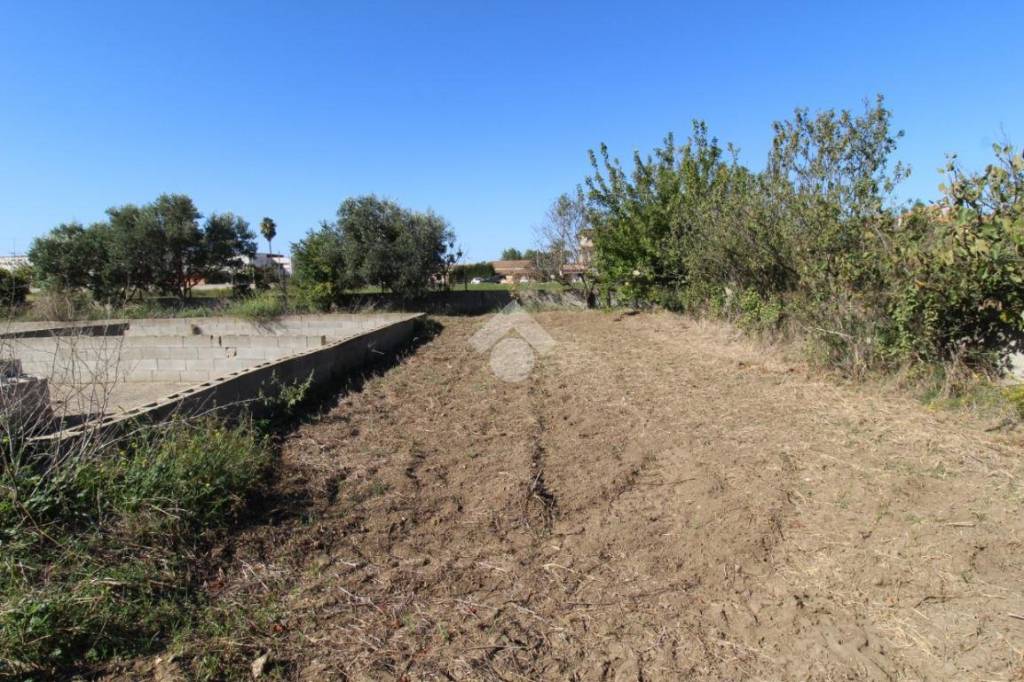 immagine annuncio 5 di 14