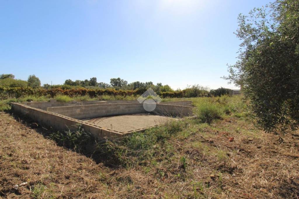 immagine annuncio 6 di 14