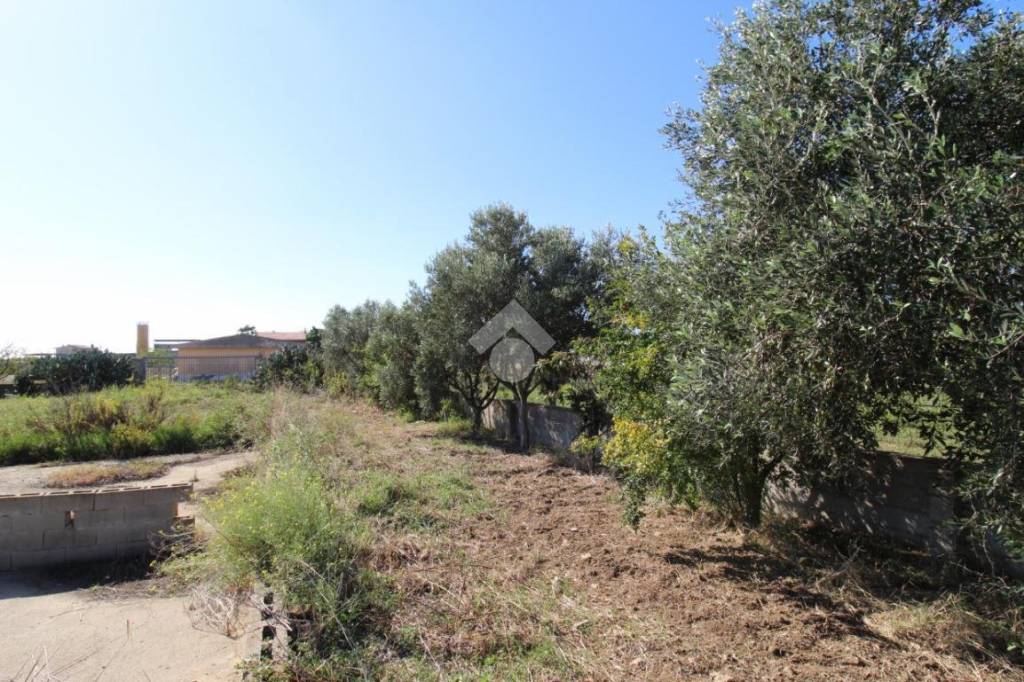 immagine annuncio 7 di 14