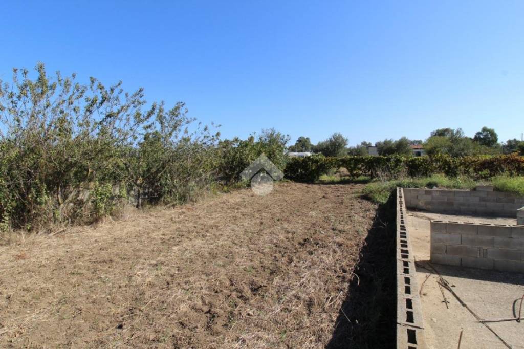 immagine annuncio 8 di 14