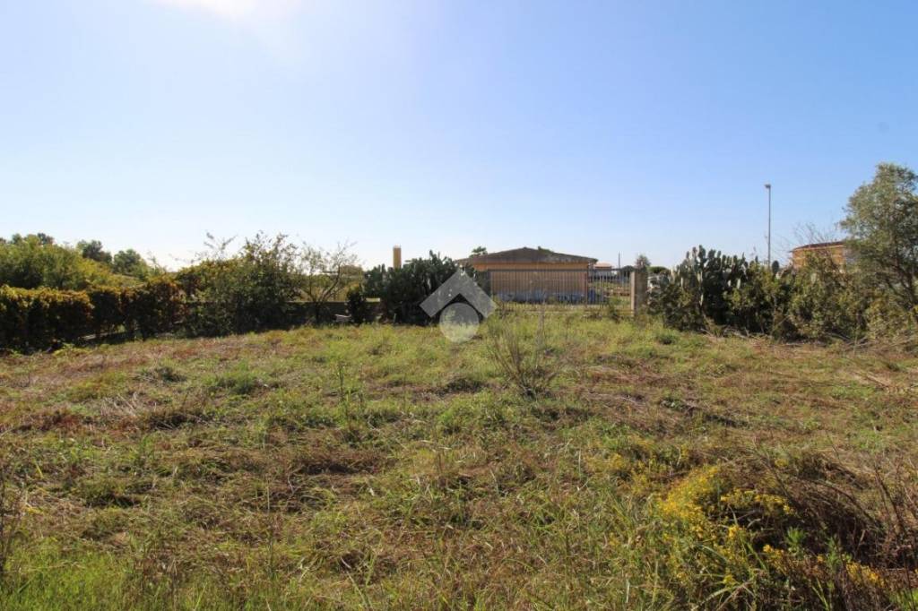 immagine annuncio 10 di 14