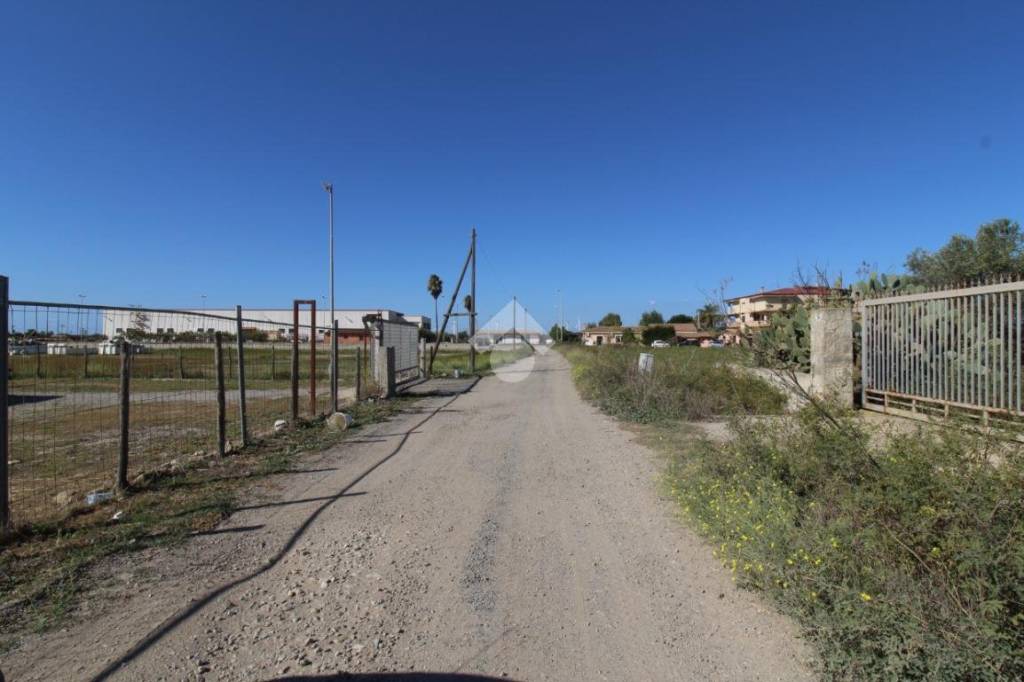 immagine annuncio 11 di 14