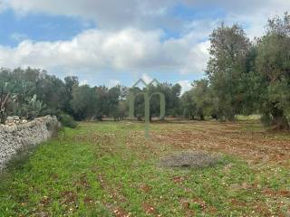 Terreno agricolo in vendita a carovigno contrada arrighi