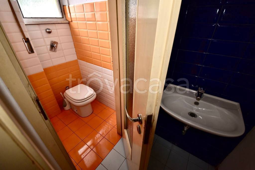 immagine annuncio 7 di 12