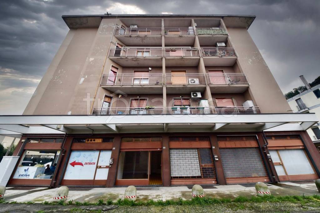 immagine annuncio 10 di 12