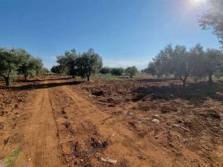 Terreno agricolo in vendita a massafra 