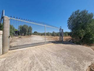 Terreno agricolo in vendita a massafra via frappietri