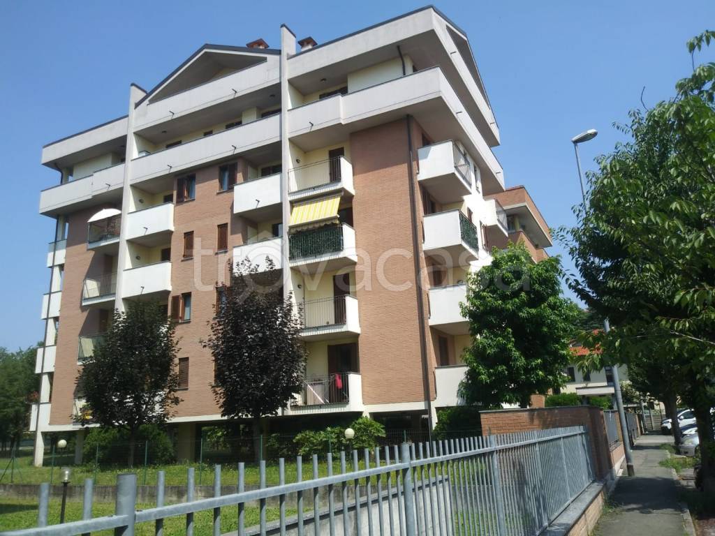 immagine annuncio 1 di 15