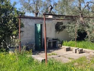 Terreno agricolo in vendita a trani strada vicinale moschetto s.n.c.