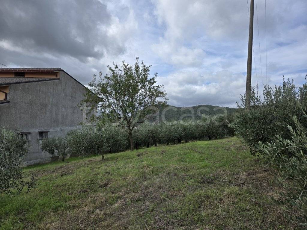 immagine annuncio 4 di 6