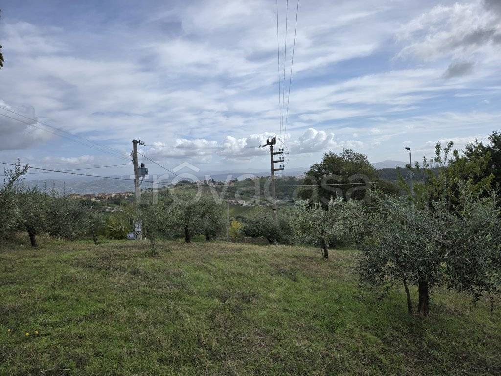 immagine annuncio 1 di 6