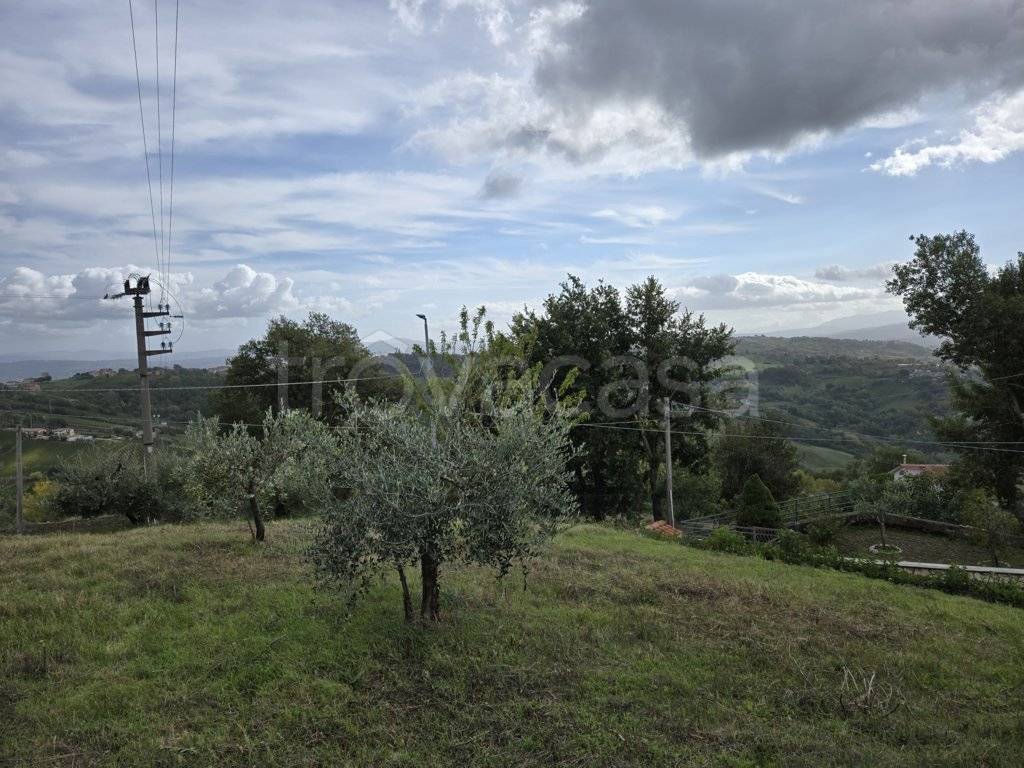 immagine annuncio 2 di 6