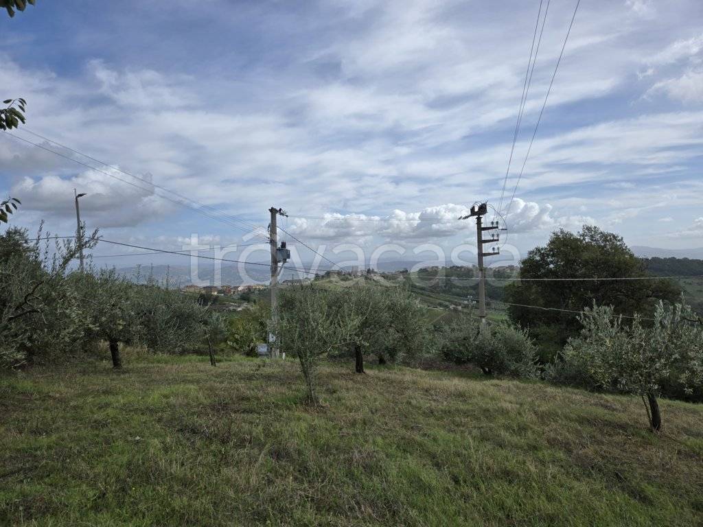 immagine annuncio 3 di 6
