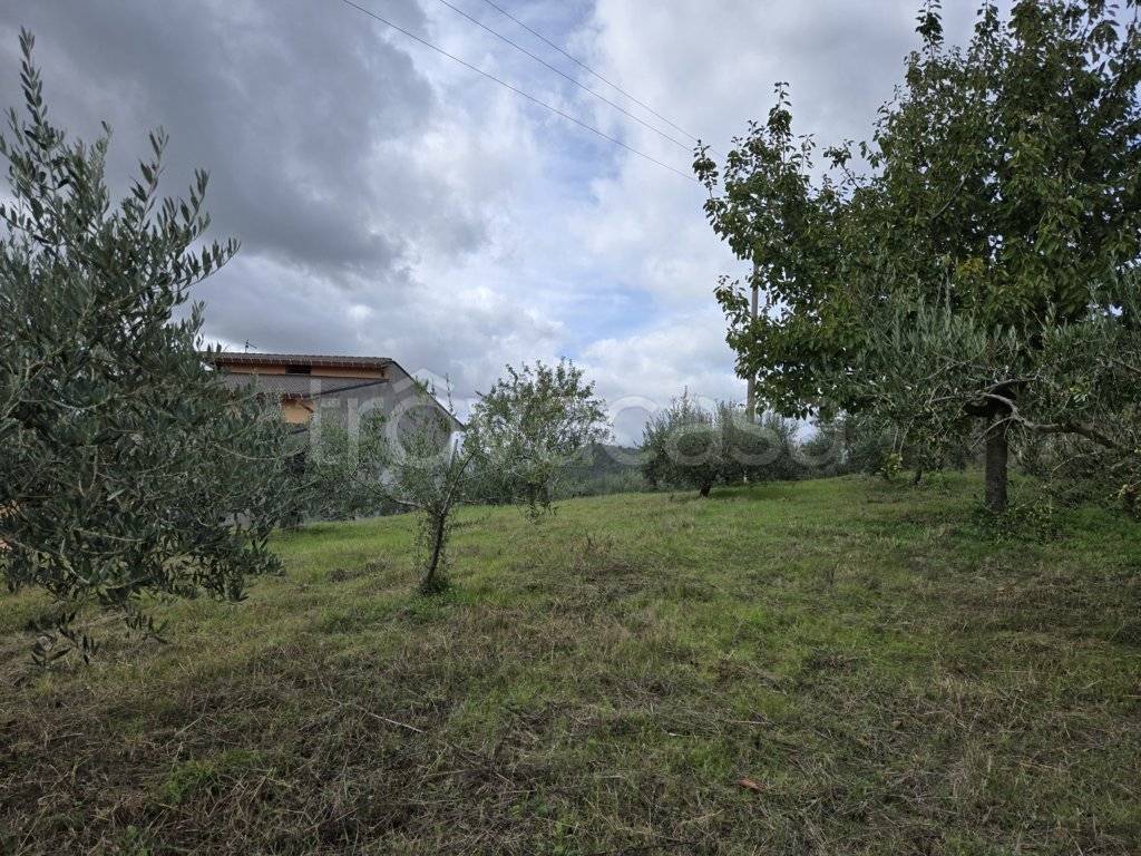 immagine annuncio 5 di 6