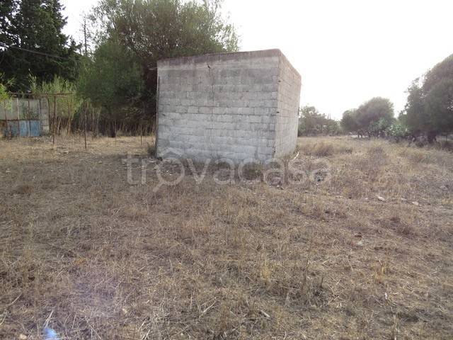 immagine annuncio 1 di 9
