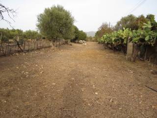 Terreno agricolo in vendita a quartu sant'elena 